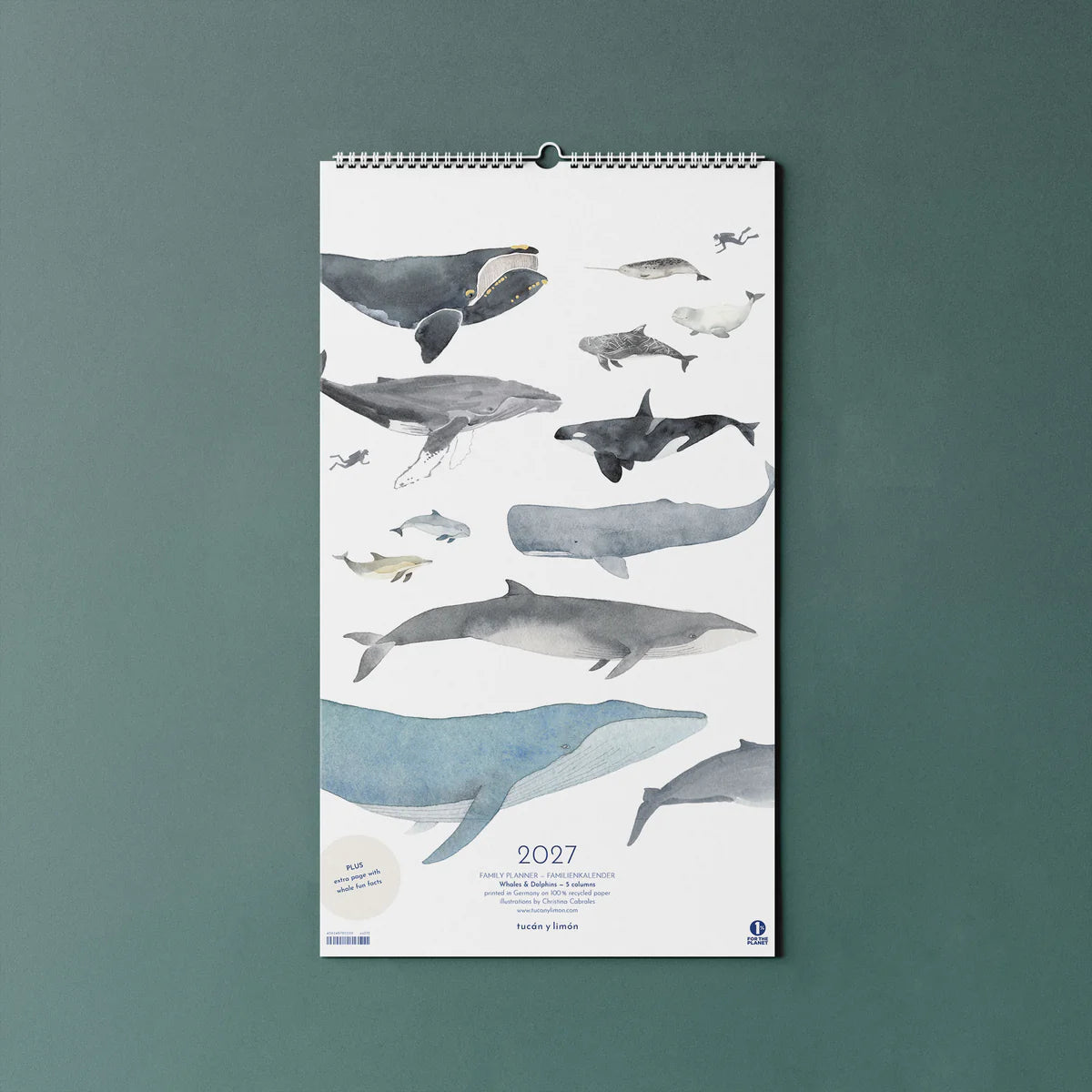Familienkalender 2027  Wale und Delfine