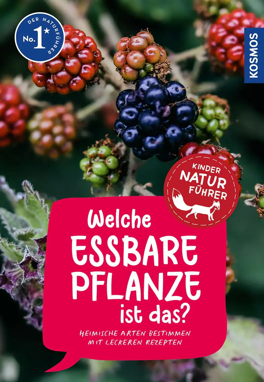 welche-essbare-pflanze-ist-das-kunstundspiel-1-54863 - kunstundspiel 