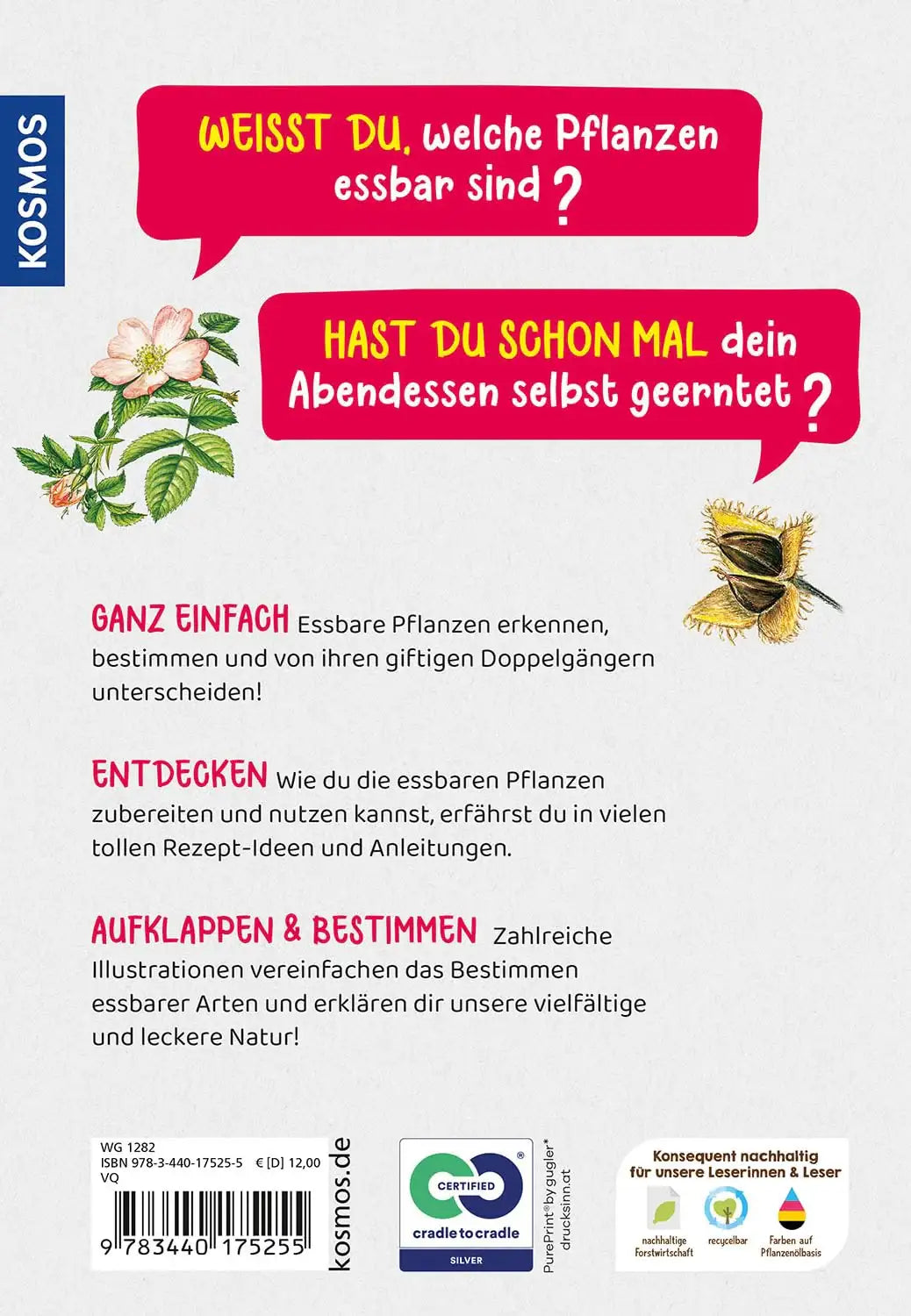 welche-essbare-pflanze-ist-das-kunstundspiel-5 - kunstundspiel 