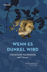 wenn-es-dunkel-wird-gebundene-ausgabe - kunstundspiel 