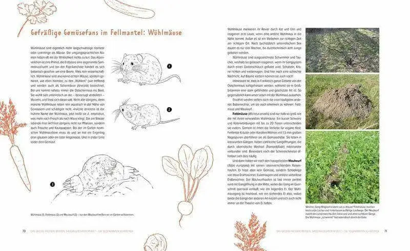 Wer knabbert da an meinem Gemüse? Löwenzahn Verlag