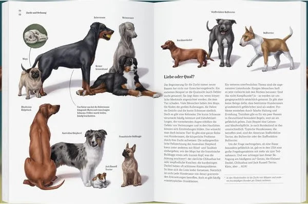 Bild von Hunden und Welpen mit Beschreibungen für nachhaltiges Spielzeug und Bastelartikel