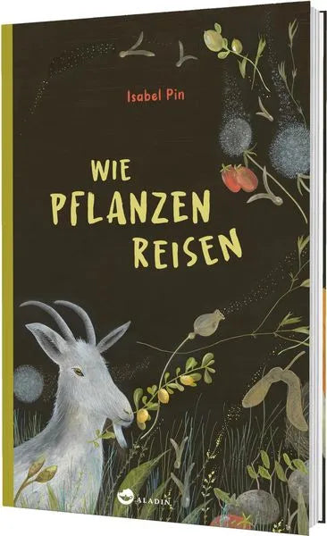 wie-pflanzen-reisen-kunstundspiel-1 - kunstundspiel 