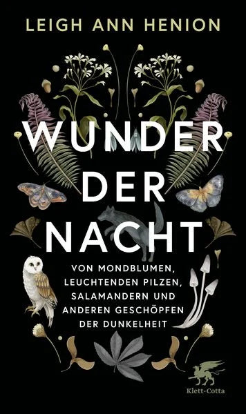 wunder-der-nacht-gebundene-ausgabe-leigh-ann-henion - kunstundspiel 