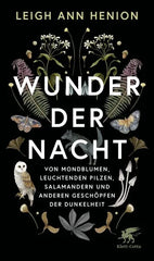 wunder-der-nacht-gebundene-ausgabe-leigh-ann-henion - kunstundspiel 