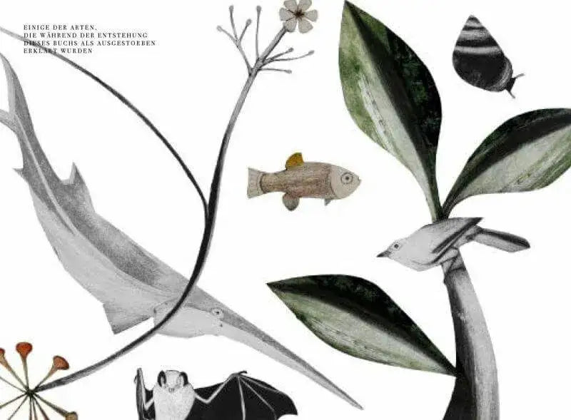 Wunder der Natur Prestel Verlag