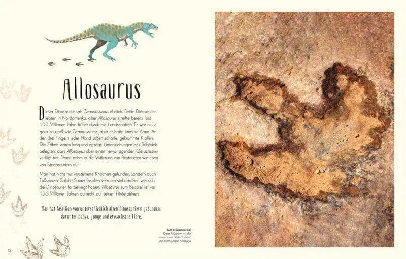 Wundervolle Welt der Dinosaurier und der Urzeit Dorling Kindersley Verlag