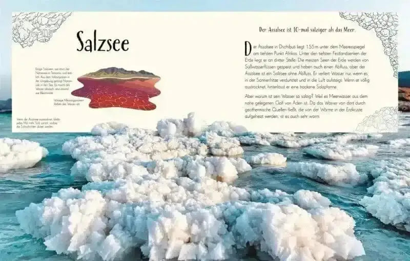 Wundervolle Welt der Erde Dorling Kindersley Verlag