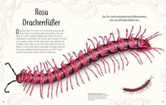 Wundervolle Welt der Insekten und Spinnentiere