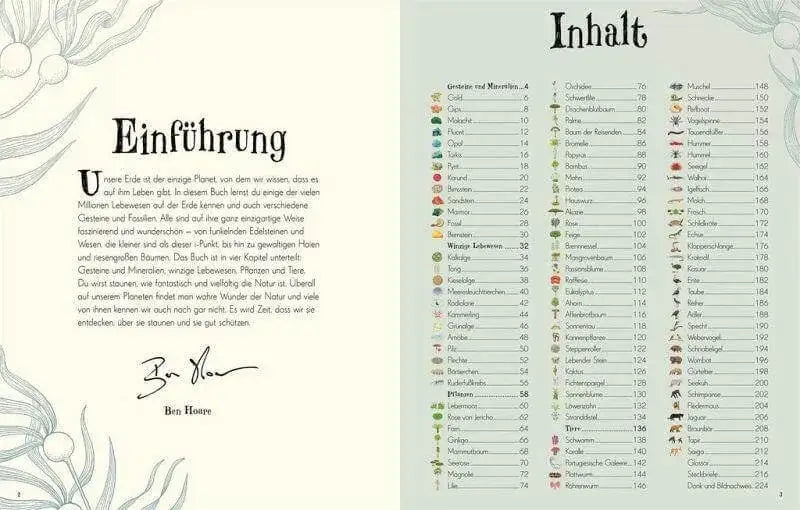 Wundervolle Welt der Natur Dorling Kindersley Verlag