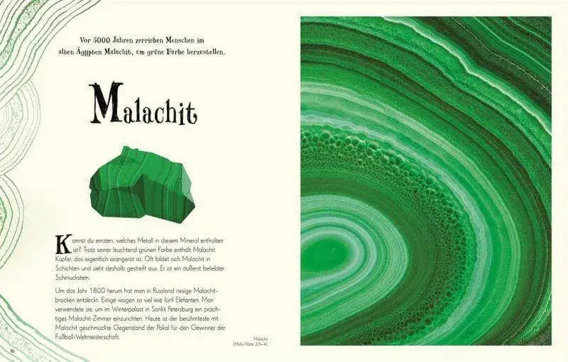 Wundervolle Welt der Natur Dorling Kindersley Verlag