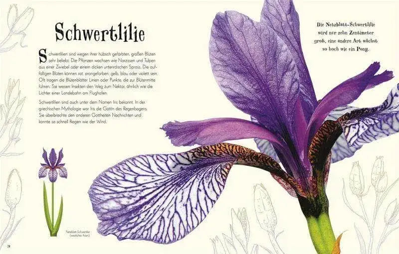 Wundervolle Welt der Natur Dorling Kindersley Verlag