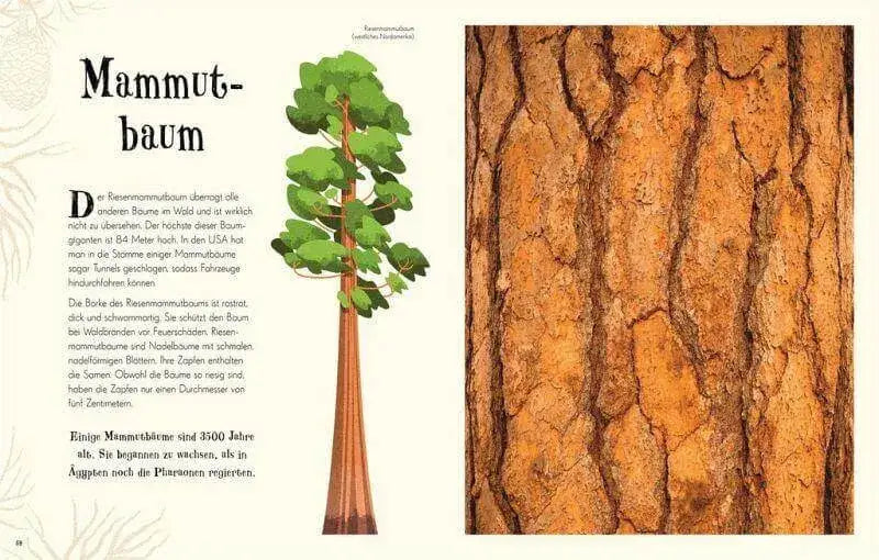 Wundervolle Welt der Natur Dorling Kindersley Verlag