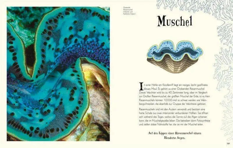 Wundervolle Welt der Natur Dorling Kindersley Verlag