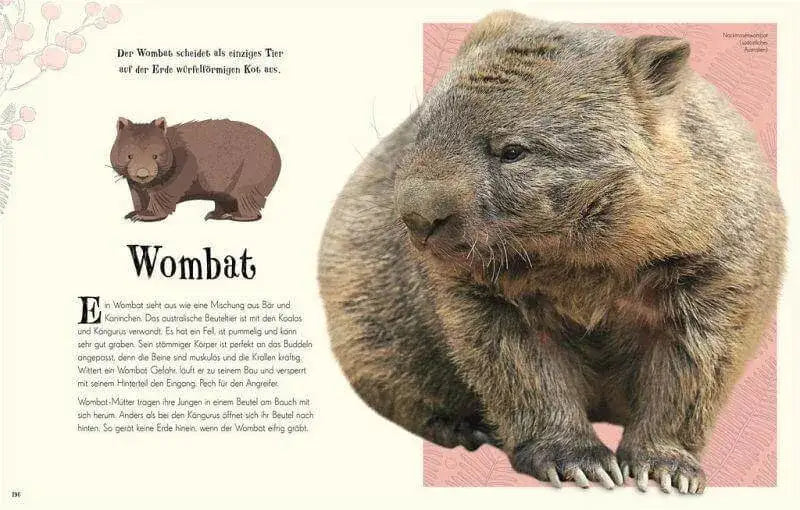 Wundervolle Welt der Natur Dorling Kindersley Verlag