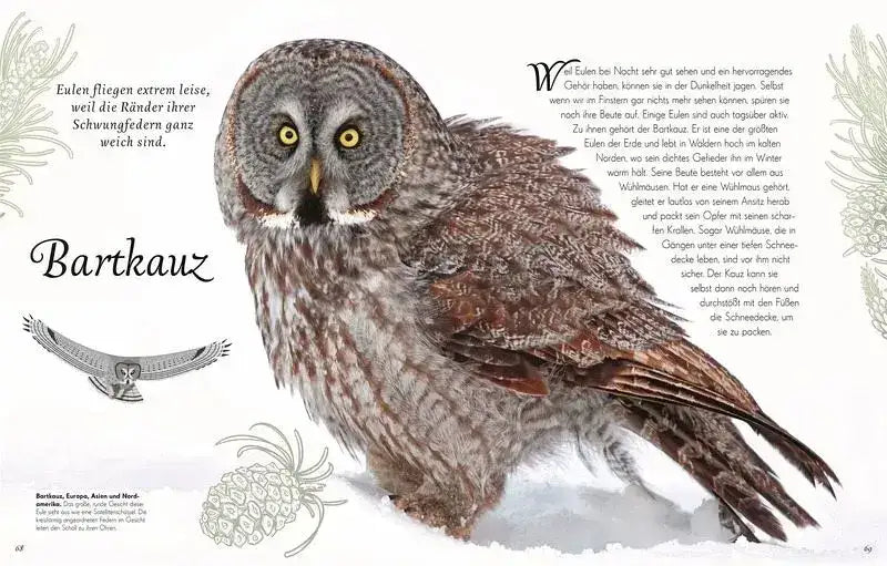 Wundervolle Welt der Vögel - 9783831051144 Dorling Kindersley Verlag