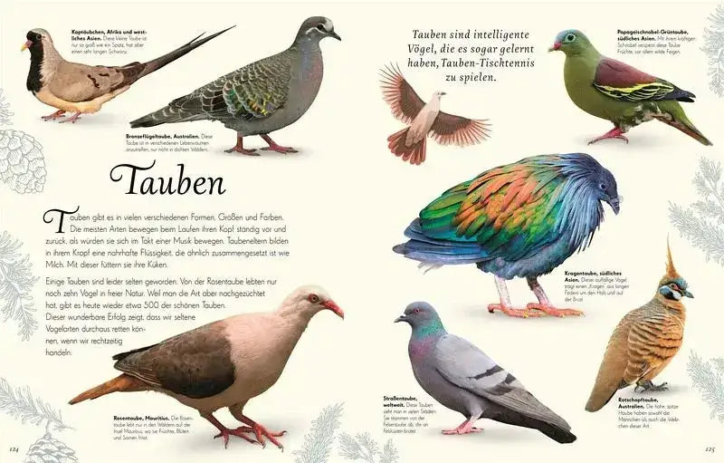 Wundervolle Welt der Vögel - 9783831051144 Dorling Kindersley Verlag