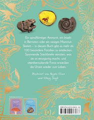 Wundervolle Welt – Kleine Schätze: Fossilien