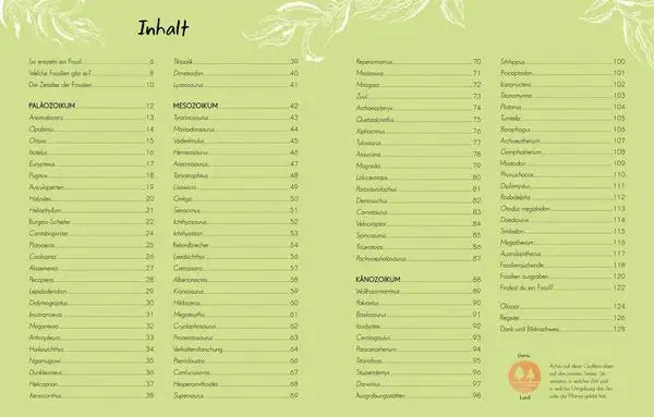 wundervolle-welt-kleine-schatze-fossilien-kunstundspiel-3 - kunstundspiel 