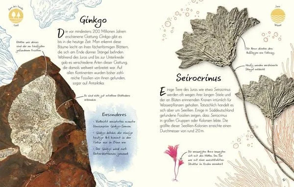 wundervolle-welt-kleine-schatze-fossilien-kunstundspiel-6 - kunstundspiel 