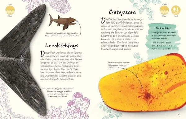 wundervolle-welt-kleine-schatze-fossilien-kunstundspiel-7 - kunstundspiel 