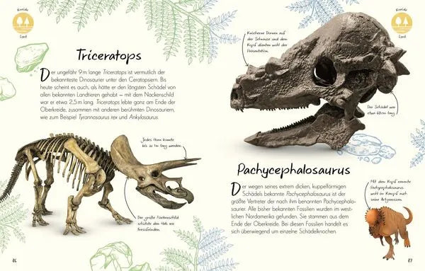 wundervolle-welt-kleine-schatze-fossilien-kunstundspiel-8 - kunstundspiel 