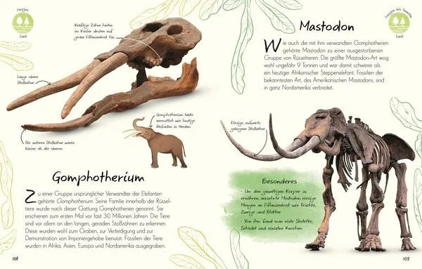 wundervolle-welt-kleine-schatze-fossilien-kunstundspiel-9 - kunstundspiel 