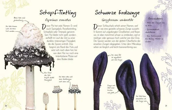 wundervolle-welt-kleine-schatze-pilze-kunstundspiel-4 - kunstundspiel 