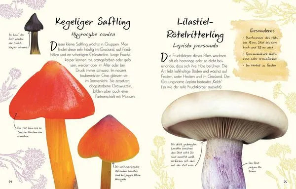 wundervolle-welt-kleine-schatze-pilze-kunstundspiel-6 - kunstundspiel 