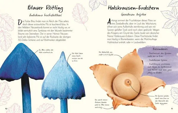 wundervolle-welt-kleine-schatze-pilze-kunstundspiel-7 - kunstundspiel 