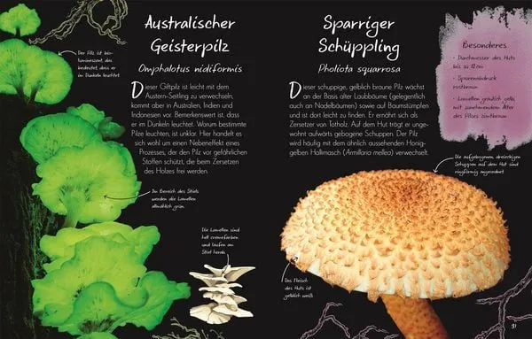 wundervolle-welt-kleine-schatze-pilze-kunstundspiel-9 - kunstundspiel 