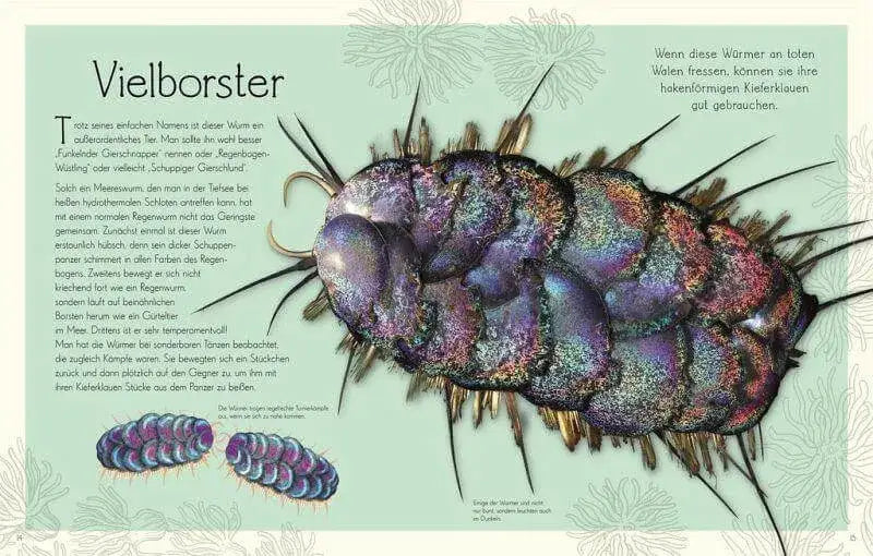 Wundervolle Welt. Wasser Dorling Kindersley Verlag