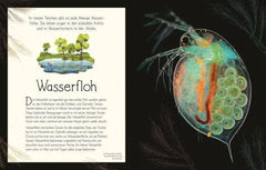 Wundervolle Welt. Wasser Dorling Kindersley Verlag