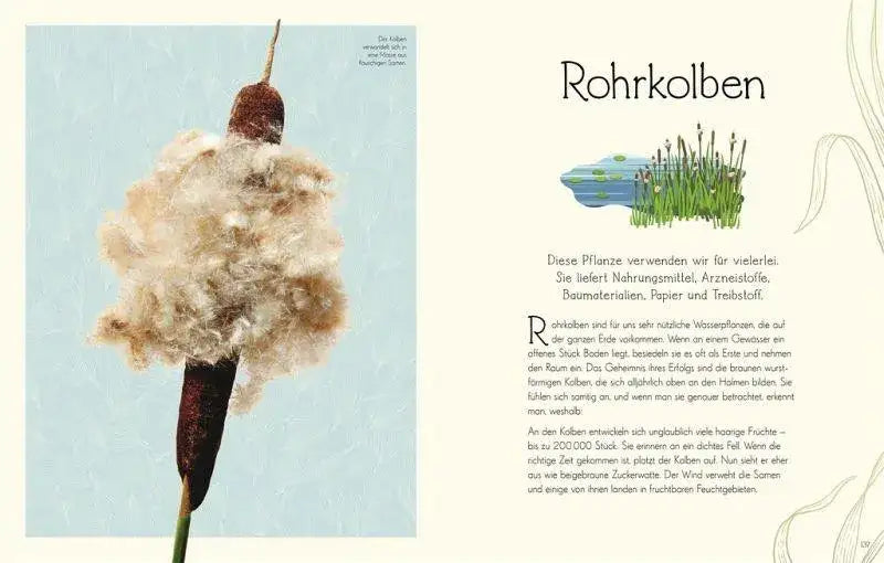 Wundervolle Welt. Wasser Dorling Kindersley Verlag